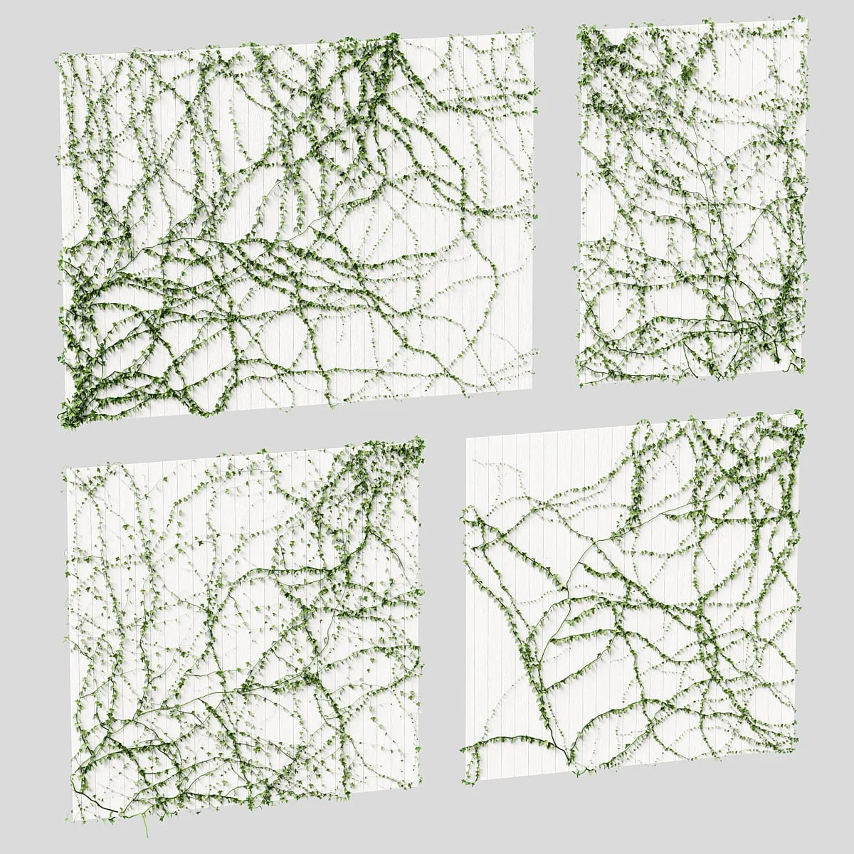 Ivy for the ceiling. 4 models